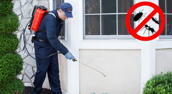 Evka 3 Pire İlaçlama böcek ilaçlama ve haşere kontrolü — ilaclama-tr.com